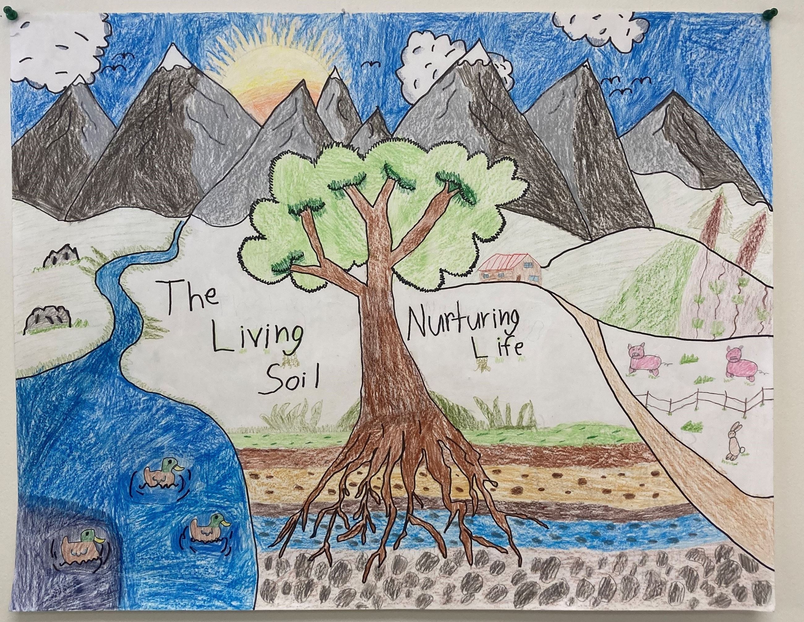 3rd Grade County - Stetson Sellers - Union